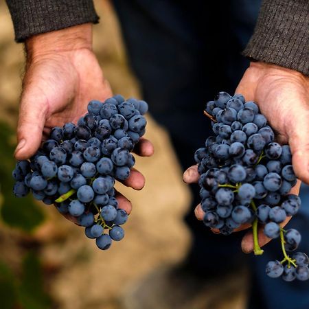 Enoturismo Celler Pinol Leilighet Batea Eksteriør bilde