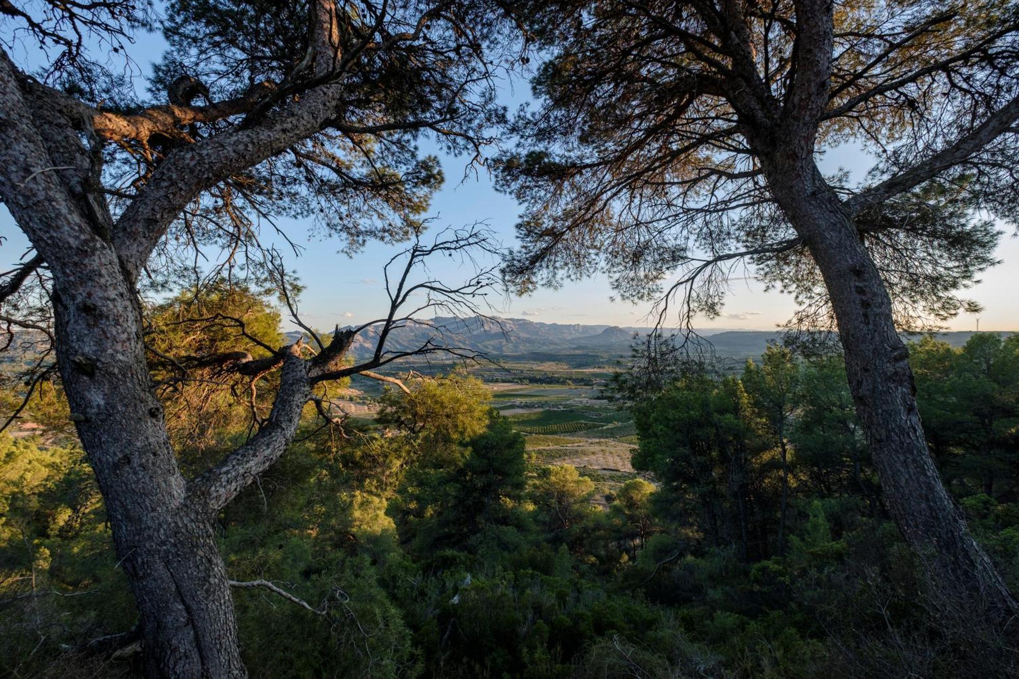 Enoturismo Celler Pinol Leilighet Batea Eksteriør bilde